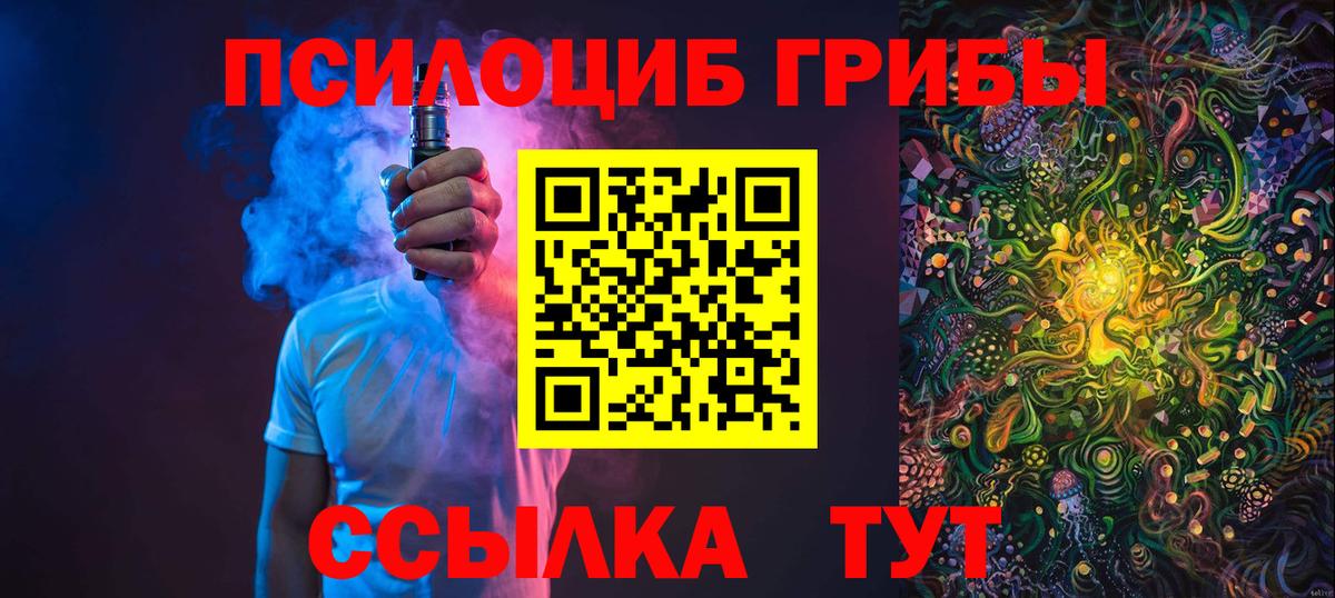 Псилоцибиновые грибы мицелий Жигулёвск