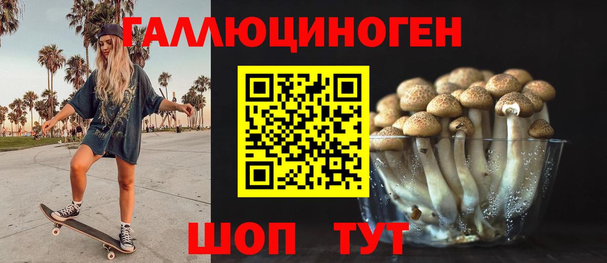 Галлюциногенные грибы Psilocybe  Вход с VPN  Жигулёвск 